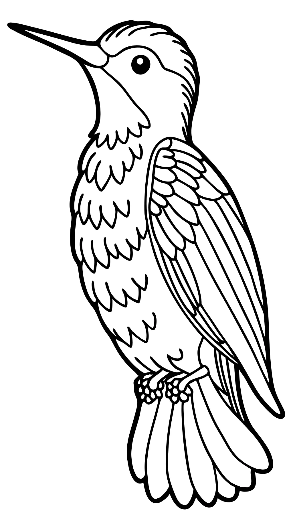 bird printable coloring pages